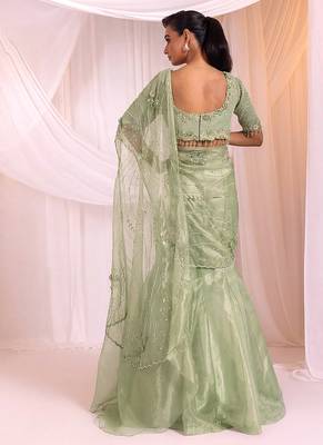 Pista Green Tissue Organza Lehenga Set 3