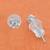 heart and flower shape cz brass silver plated set of 3 combo stud earring for women and girls