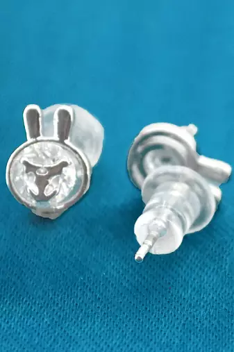 pretty carrot and rabit shape cz brass silver plated set of 3 combo stud earring for women and girls