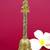 traditional "jai shree ram and hanuman ji" brass antique gold plated bell(pooja ghantee)