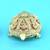 traditional "tortoise and laxmi ji design" brass antique gold plated idol(murti)