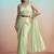Pista green lustrous satin silk embroidery ready to wear saree