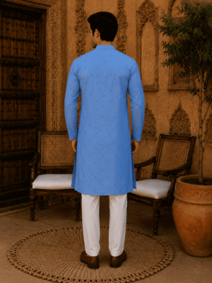 Sky blue ethnic printed kurta 3