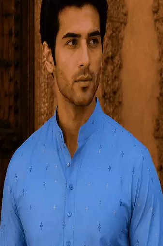 Sky blue ethnic printed kurta