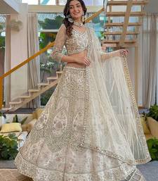 Ivory Butterfly Net Embroidered Semi Stitched Lehenga Choli with Dupatta