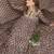 Women floral printed regular pure cotton kurta with palazzos & with dupatta