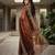 Brown chiffon embroidered sequins work heavy look ethnic saree with blouse