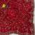 Red satin embroidered sequins work heavy look ethnic saree with blouse