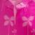 Pink cambric cotton kurti palazzo set