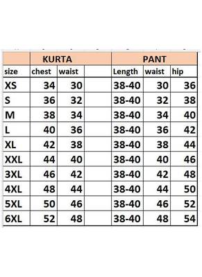Blue rayon digital printed kurti with pant set 3