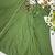 Women's new trendy light green embroidered anarkali suit with pant & dupatta set
