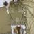Olive crunchy fabric embroidered kurta palazzo set with dupatta