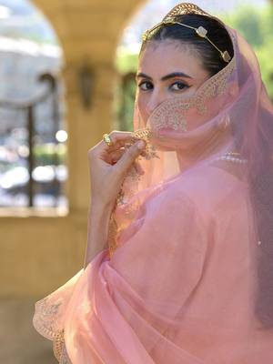 Ethnic Motifs Embroidered Zari Straight Kurta With Trousers & Dupatta 5
