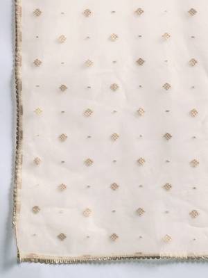 Plus Size Ethnic Motifs Embroidered Panelled Liva Kurta Set 5