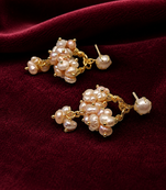 Freshwater pearl cluster drop earrings with gold-tone chain freshwater pearl cluster drop earrings with gold-tone