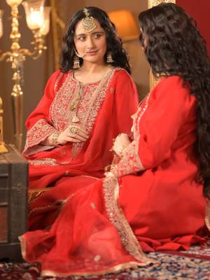 Ethnic Motifs Embroidered Zari A-Line Kurta With Trousers & Dupatta 6