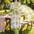 Women Floral Printed Regular  Cotton Kurta with Trousers & With Dupatta