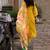 Floral Embroidered Thread Work Kurta With Trousers & Dupatta