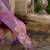 Women Floral Embroidered Regular Thread Work Kurta with Trousers & With Dupatta