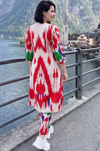 Women Ethnic Motifs Printed Regular Cotton Kurta with Trousers
