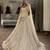 beige organza embroidered designer lehenga-choli