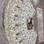off white georgette embroidered designer lehenga-choli