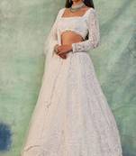 white net embroidered designer lehenga-choli