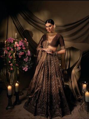 Women's Dark Brown Embroidered Designer Lehenga Choli with V-Neck Blouse & Dupatta 1