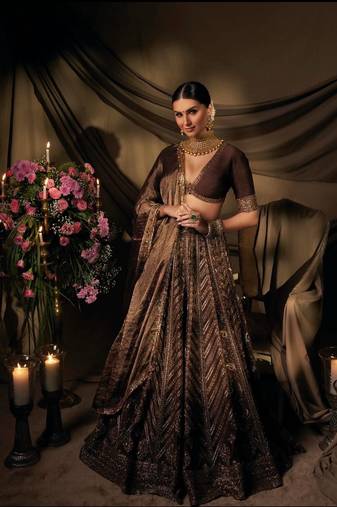 Women's Dark Brown Embroidered Lehenga Choli with V-Neck Blouse & Dupatta