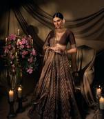Women's Dark Brown Embroidered Designer Lehenga Choli with V-Neck Blouse & Dupatta