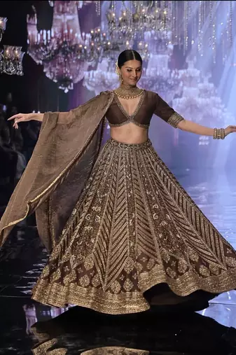 Women's Dark Brown Embroidered Designer Lehenga Choli with V-Neck Blouse & Dupatta