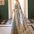 Grey tissue silk blend saree with paithani border and floral pallu