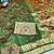 Green zari woven paithani silk traditional saree with swarovski blouse piece