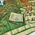 Green zari woven paithani silk traditional saree with swarovski blouse piece