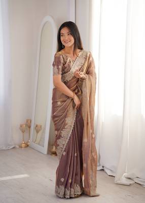 Chiku Color Zari Embroidered & Hotfix work Silk blend Saree 4