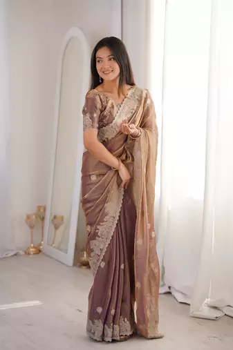 Chiku Color Zari Embroidered & Hotfix work Silk blend Saree