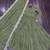 pista faux georgette readymade anarkali suit with embroidery & Sequin work