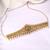 Gold plated faux ruby faux emerald & cz studded belly chain kamarbandh jewellery for women
