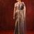 Metallic brown embroidered tissue saree set