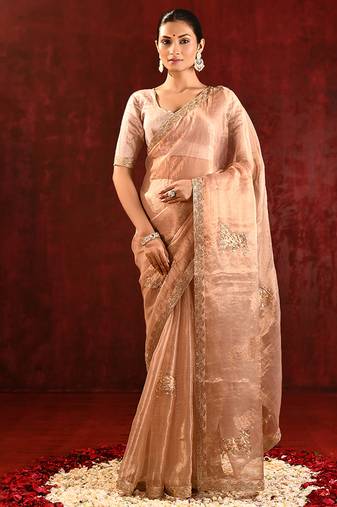 Nude beige embroidered tissue saree set