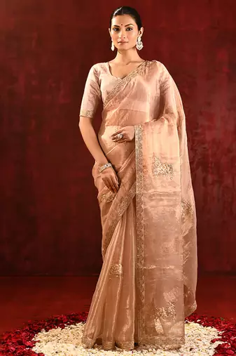 Nude beige embroidered tissue saree set