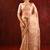 Nude beige embroidered tissue saree set