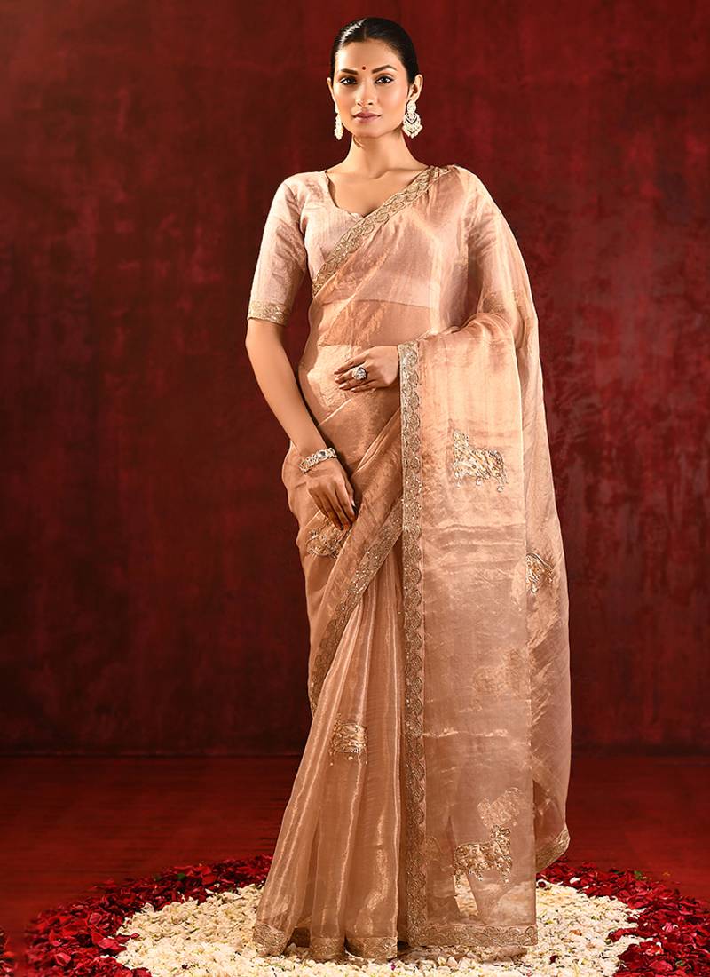 Nude beige embroidered tissue saree set