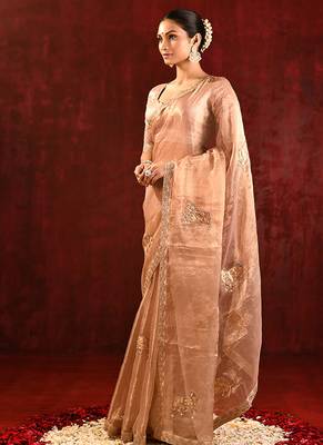 Nude beige embroidered tissue saree set 2
