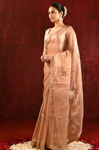 Nude beige embroidered tissue saree set