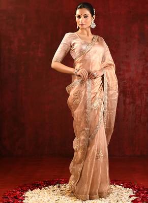 Nude beige embroidered tissue saree set 3