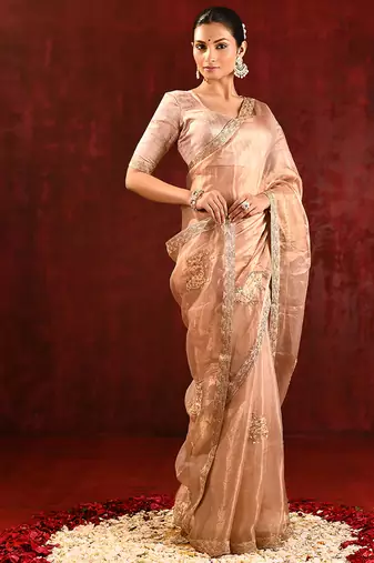 Nude beige embroidered tissue saree set