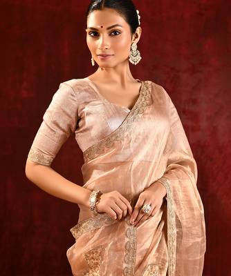 Nude beige embroidered tissue saree set 4