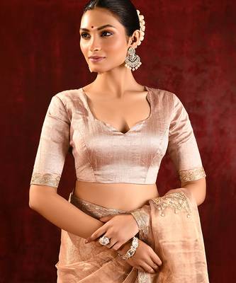 Nude beige embroidered tissue saree set 5