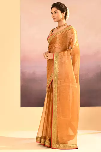 Mustard gold embroidered tissue saree set
